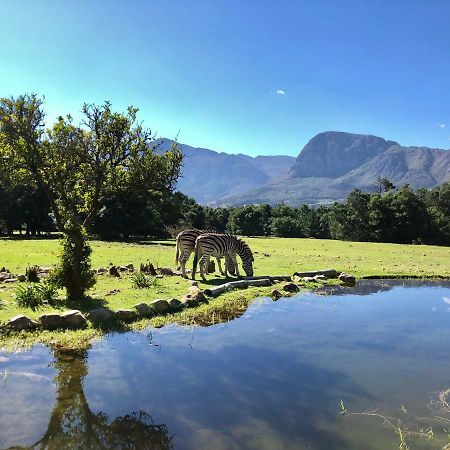 Franschhoek Country Cottages Exterior photo