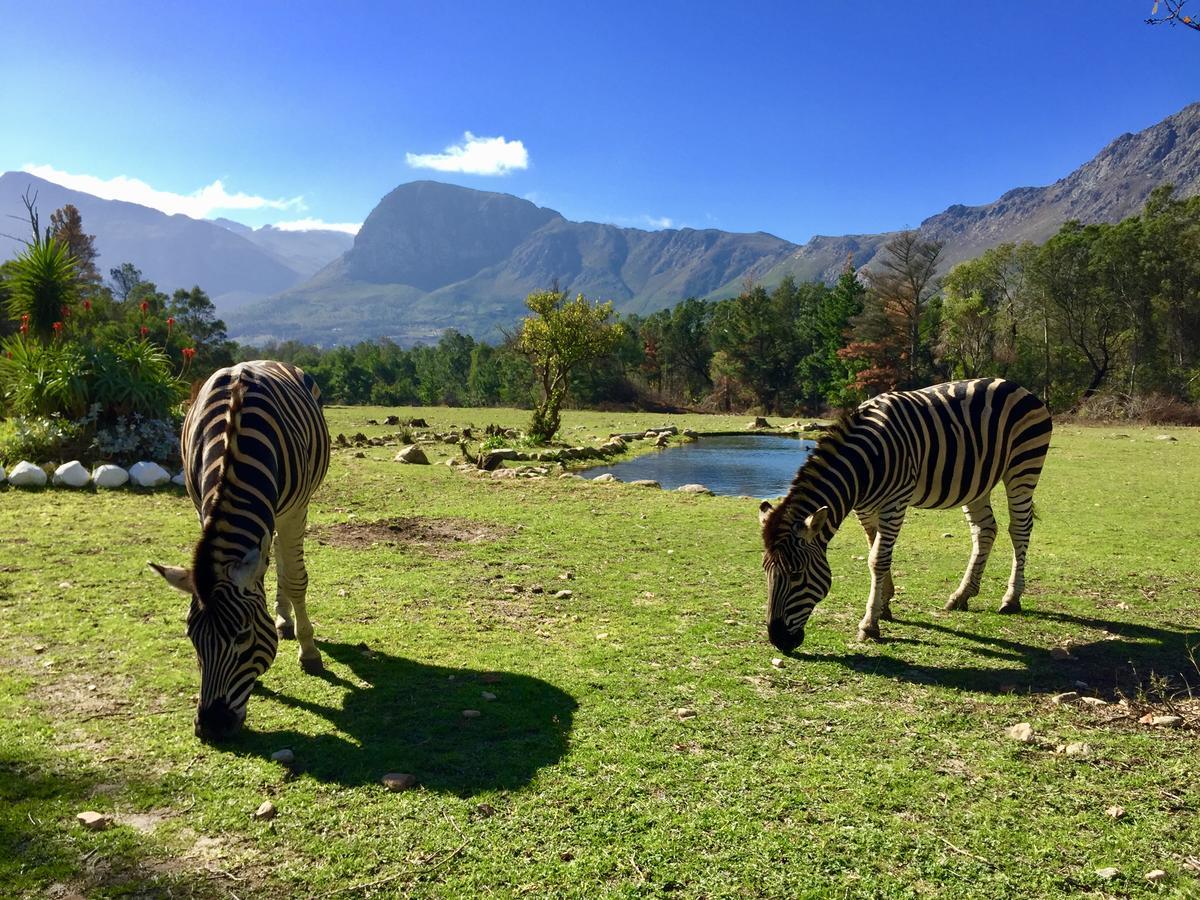 Franschhoek Country Cottages Exterior photo